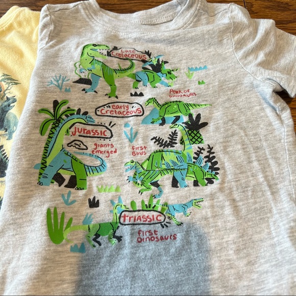 2T Toddler Dinosaur T-shirt Bundle - Picture 6 of 12